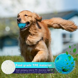 Pet Squall Ball Dog Playmate Sound Relieving Toys - Image 4