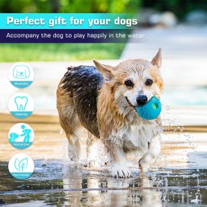 Pet Squall Ball Dog Playmate Sound Relieving Toys - Image 6